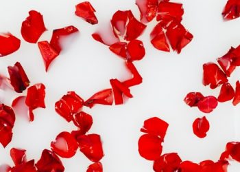 Cerahkan Wajah dengan Masker Bunga Mawar