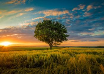 Doa Meminta Perlindungan dari Rasa Malas dan Kikir