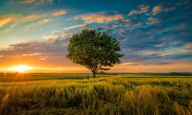 Doa Meminta Perlindungan dari Rasa Malas dan Kikir