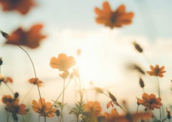 Jangan Rusak Cinta Pasangan dengan 13 Sikap Ini