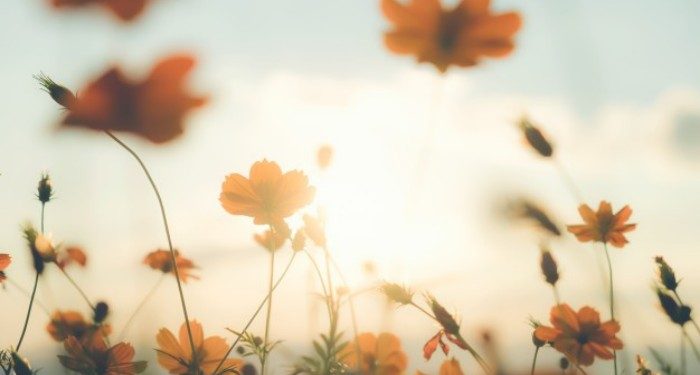 Jangan Rusak Cinta Pasangan dengan 13 Sikap Ini