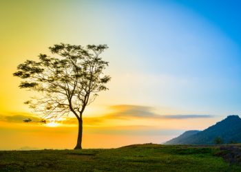 Solusi itu Bernama Waktu