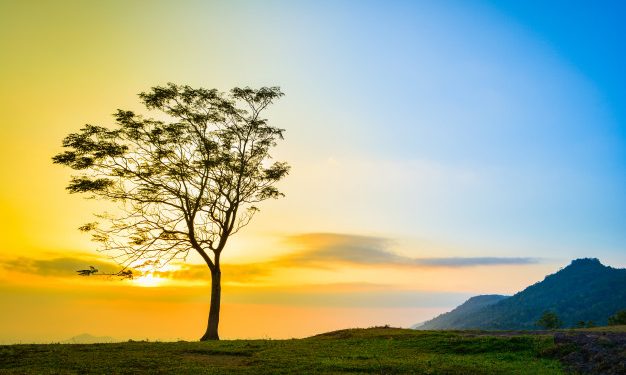 Solusi itu Bernama Waktu