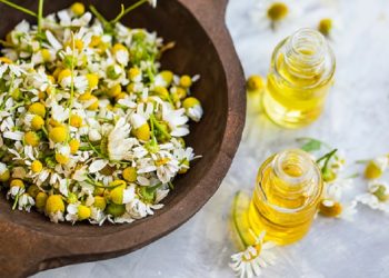 5 Manfaat Chamomile Untuk Kecantikan