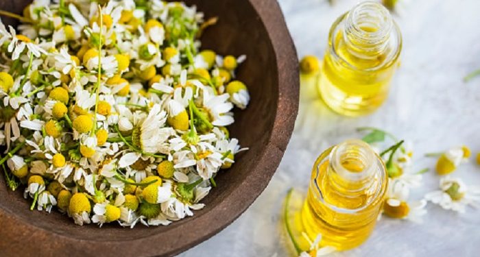 5 Manfaat Chamomile Untuk Kecantikan