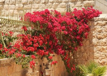 Hukum Ziarah Kubur Saat Lebaran