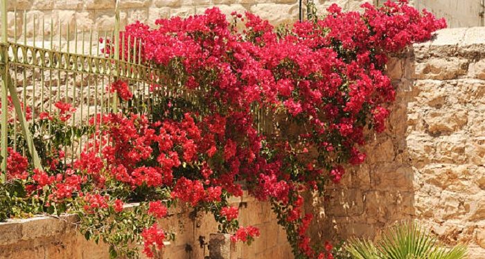 Hukum Ziarah Kubur Saat Lebaran