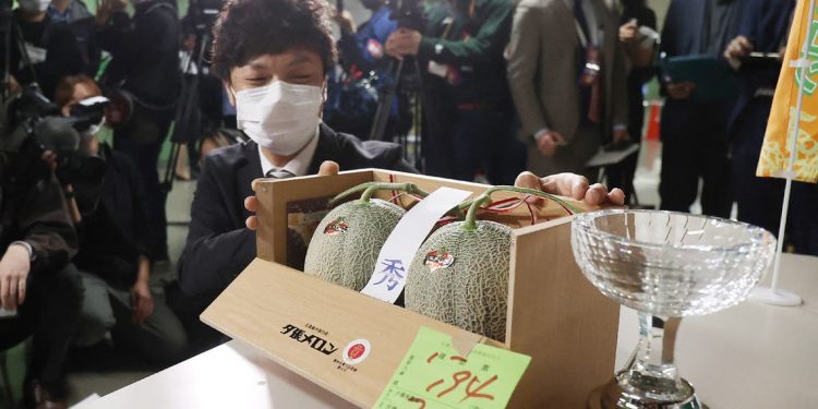 Melon premium Jepang dijual seharga $ 24.800 setelah virus korona merosot