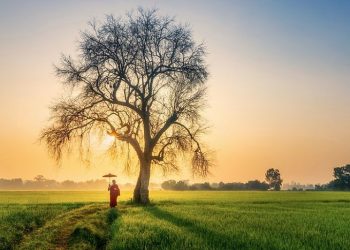 Tata Cara Membayar Fidyah