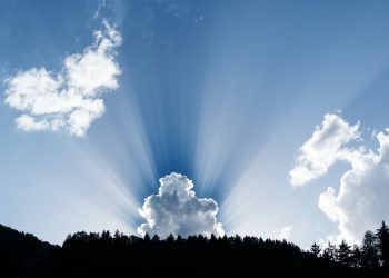 gencatan senjata adalah