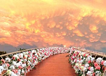 Dubes Prancis Sebut Industri Minyak Mawar Kota Taif adalah Harta Karun yang Ditemukan