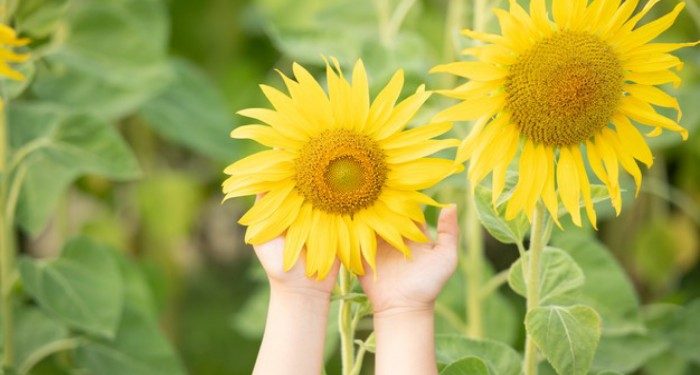 9 Penyakit Turunan yang Harus Diketahui