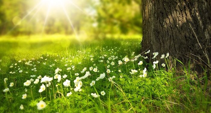 Tempat yang Paling Dicintai dan Dibenci Allah