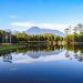 Telaga Saat, Destinasi Wisata Tersembunyi di Puncak Bogor