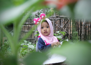 Perkembangan Anak Usia 2 sampai 3 Tahun