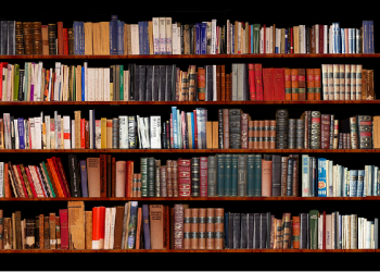 Tips Merawat Buku dari Rayap