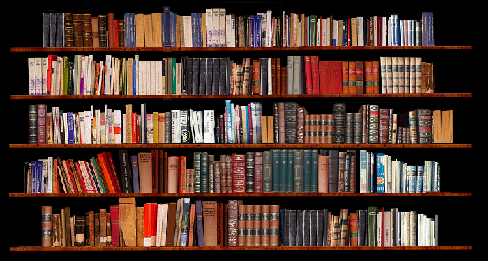 Tips Merawat Buku dari Rayap