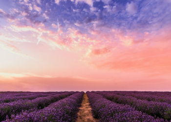 Masa Kepemimpinan Khalifah Harun Ar Rasyid