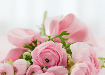 Surat Yasin Ayat 13, Permisalan Kaum Kafir Quraisy