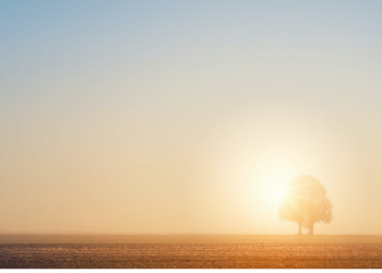 Pembebasan Persia, Kemenangan Umat Islam di Jalula