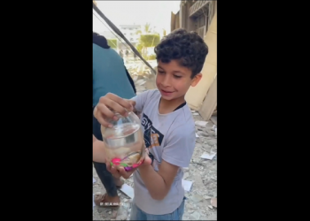 Kebahagiaan-kebahagiaan Sederhana Anak Gaza