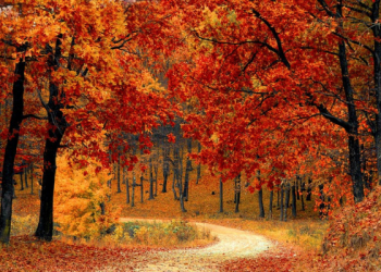 Tadabur Surat Al-Kahfi Ayat 15