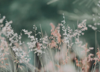 Surat Yasin Ayat 16, Penegasan bahwa Rasul adalah Utusan Allah