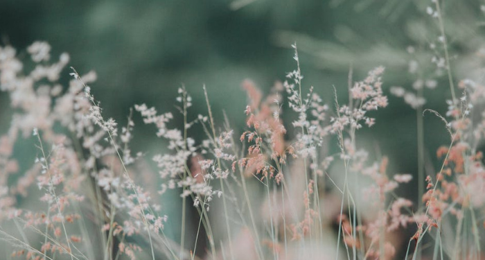 Surat Yasin Ayat 16, Penegasan bahwa Rasul adalah Utusan Allah