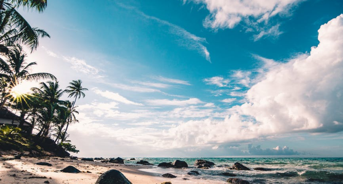 Umar bin Abdul Aziz, Pemimpin yang Selalu Memuliakan Tamu