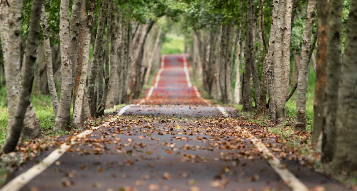 Kisah Imam Syafi’i Mencari Jawaban Terkait Ijma’ (2)