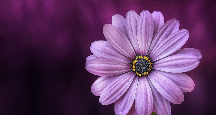 Sejarah Dicopotnya Sultan Abdul Hamid II dari Kursi Kekhalifahan Utsmani