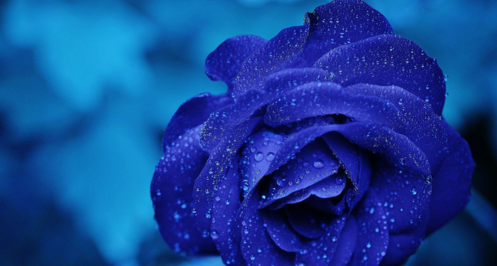 Tiga Tahapan Penulisan dan Pengumpulan Al-Qur’an