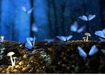 Mengenal Yusya bin Nun, Penakluk Baitul Maqdis (1)