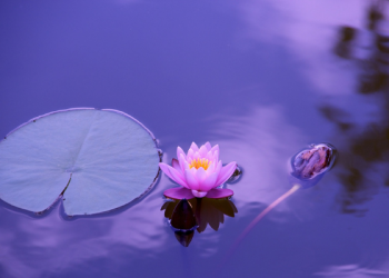 Tiga Tahapan Penulisan dan Pengumpulan Al-Qur’an (2)