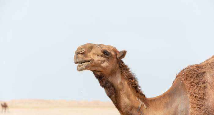 TIdak gunakan kekuasaan untuk keuntungan pribadi