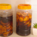 Eco Enzyme dan Cara Pembuatannya