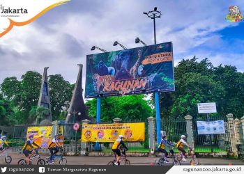 Juni 2021, Ini Syarat Berkunjung ke Ragunan Zoo