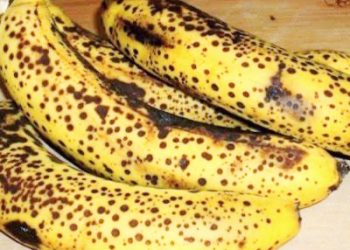 dr Zaidul Akbar: Pisang Bintik Hitam Kaya Manfaat