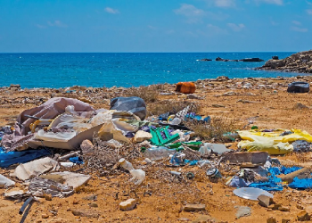 Aksi bersih-bersih sampah di Perairan Botubarani