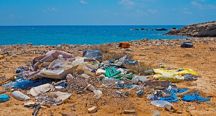 Aksi bersih-bersih sampah di Perairan Botubarani