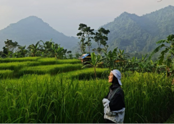 Zaskia Adya Mecca Ajak Jaga Keseimbangan Alam