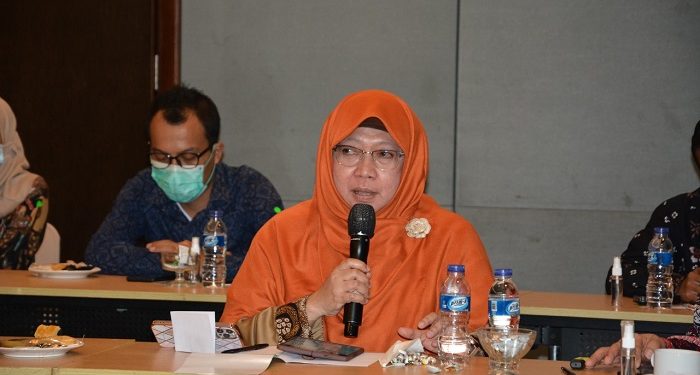 Dorong Peraturan OJK agar Optimal Bantu UMKM