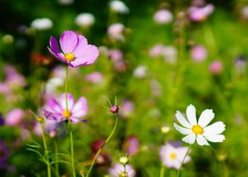 Suami yang Suka Mencari-cari Kesalahan Istri