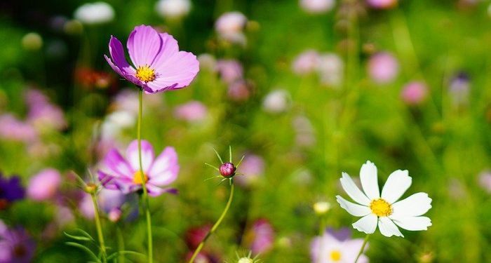 Suami yang Suka Mencari-cari Kesalahan Istri