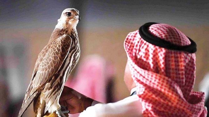 Hobi Mahal Warga Saudi, Pelihara Elang untuk Berburu