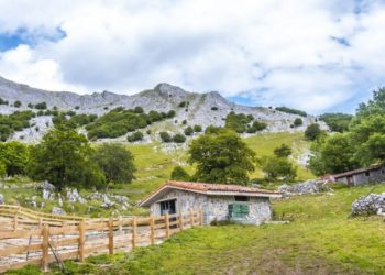 13 Cara Suami Istri Bangkit Meraih Keberuntungan