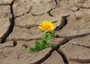 Kita Sendiri yang Mengundang Musibah Datang