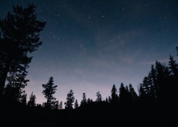 Bangun Malamnya Imam Asy-Syafi’i