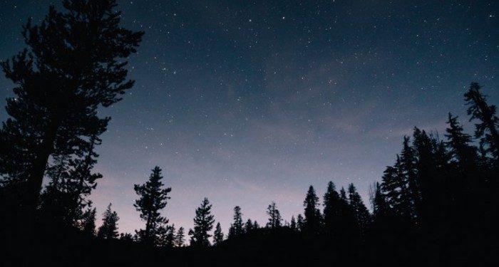 Bangun Malamnya Imam Asy-Syafi’i