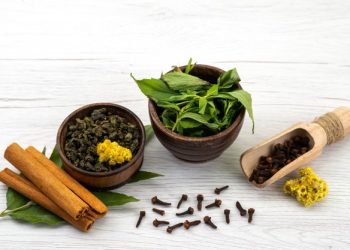 Herbal Alami Penurun Berat Badan